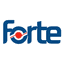 Forte Bilgi İletişim 
		Hisse Senedi