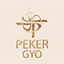 Peker GYO 
		Hisse Senedi